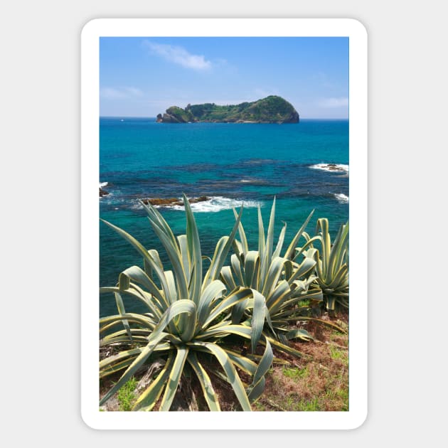 Islet and coastal vegetation Magnet by Gaspar Avila